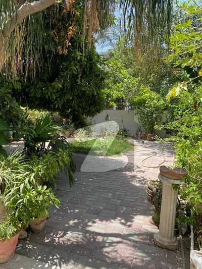 500 Square Yards House For Rent In DHA Phase 5 Karachi