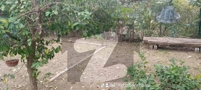 3200 Square Feet House Is Available For Sale In G-9