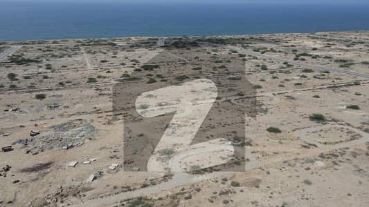 600 Sq Yds Open Plot in Sangar Phase 1 Near Sea