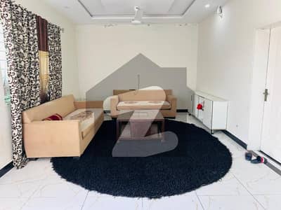 Fully Furnished Spacious 1 Bedroom Hall Apartment