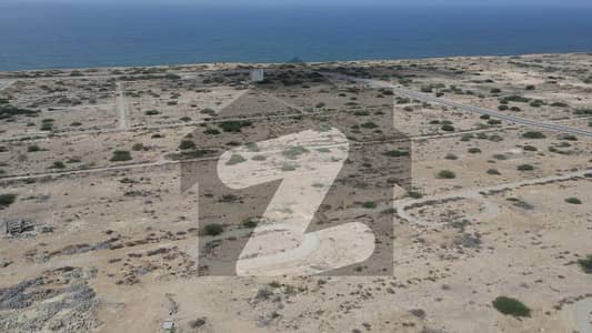 Sea View Open Plot with Possession in Sangar Phase 1 Near Sea