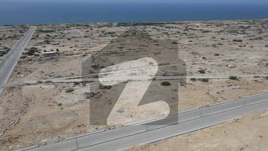 Corner Commercial Plot in Sangar Phase 1