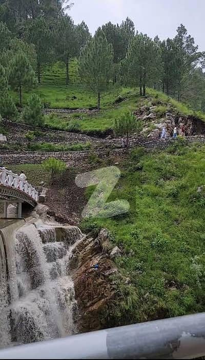 1 Kanal Plot On 1 Year Instalments In Phase 2