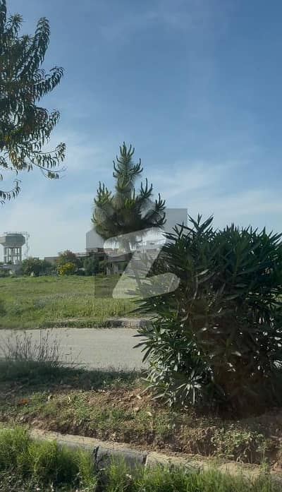 UNIVERSITY TOWN BLOCK A SIZE 5 MARLA PLOT FOR SALE ON GOOD LOCATION FIRST COME FIRST AVIL THIS BIG OPERTUINTY