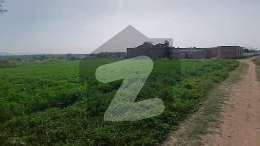 جھلم روڈ چکوال میں 88 کنال زرعی زمین 4.4 کروڑ میں برائے فروخت۔