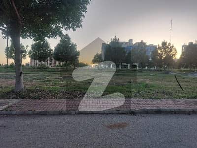 8 Marla Confirm solid Land Best Plot