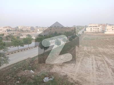 یونیورسٹی ٹاؤن اسلام آباد میں 1 کنال رہائشی پلاٹ 85.0 لاکھ میں برائے فروخت۔