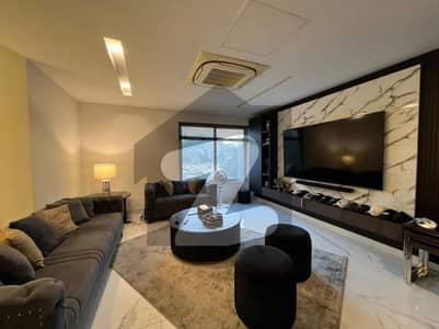 Brand New Fully furnished house for rent