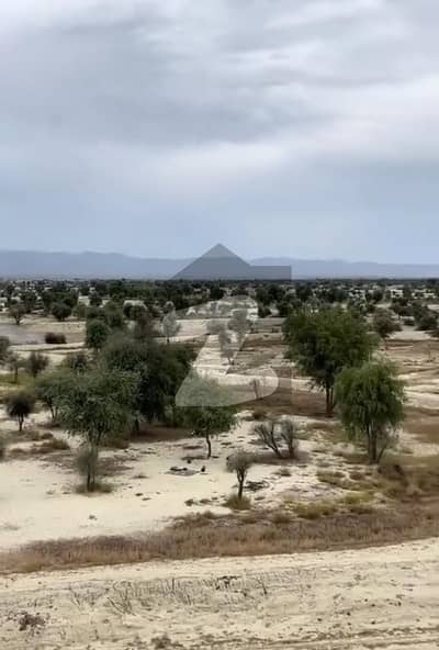 موضع شادی کور گوادر میں 3200 کنال زرعی زمین 20.0 کروڑ میں برائے فروخت۔