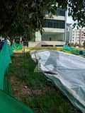 19 