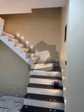 20 