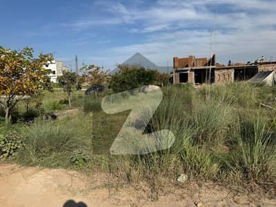 5.5 Marla Corner Plot For Sale In Zamar Valley