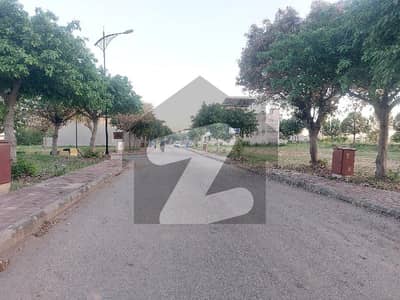 Sector C-2 10 Marla plot Near Main Gate