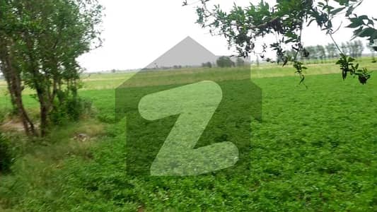 Prime 33 Acer Fully Agriculture Land For sale at Near Shahkot Punjab