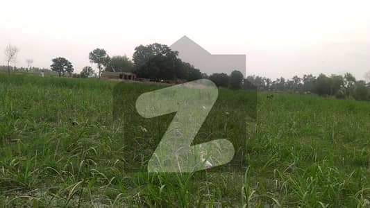 Ideal 37 Acer Fully Agriculture land For Sale at Near Shahkot Punjab (Farmhouse & Investment)