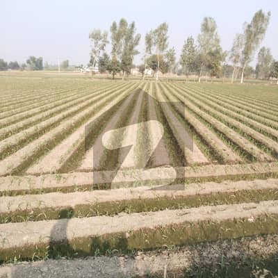 I HAVE A 8 KANAL AGRICULTURAL LAND IN KOT RADHA KISHEN. ALSO AVAILABLE 1 ACRE TO 12 ACRE