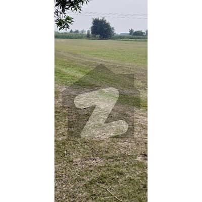 برکی روڈ کینٹ,لاہور میں 160 کنال زرعی زمین 9.0 کروڑ میں برائے فروخت۔