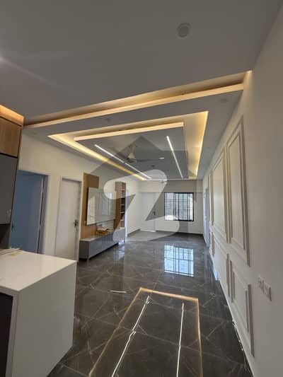 Brand New Ground Floor