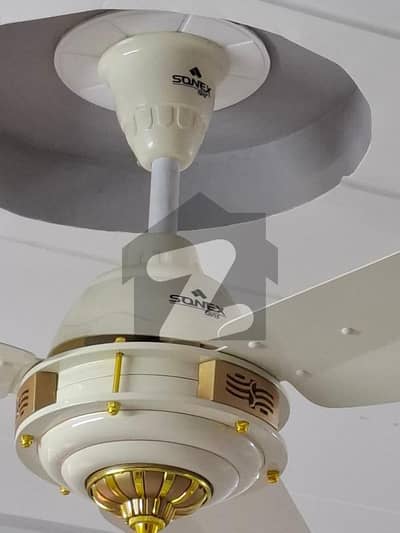 30/60 House Is Available For Rent In G-13