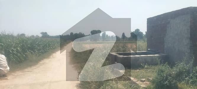 8 kanal land in Moza jahman