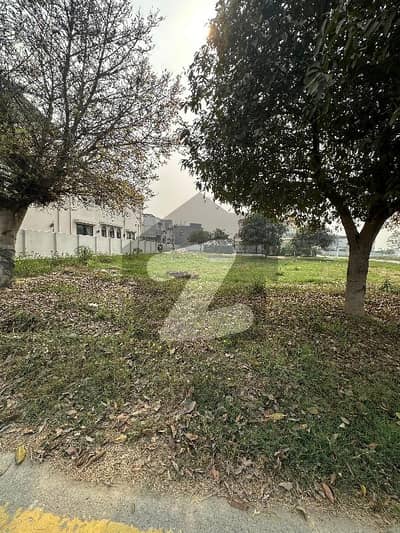 8 Marla Commercial Plot Golden Investment Opportunity in DHA Phase 7