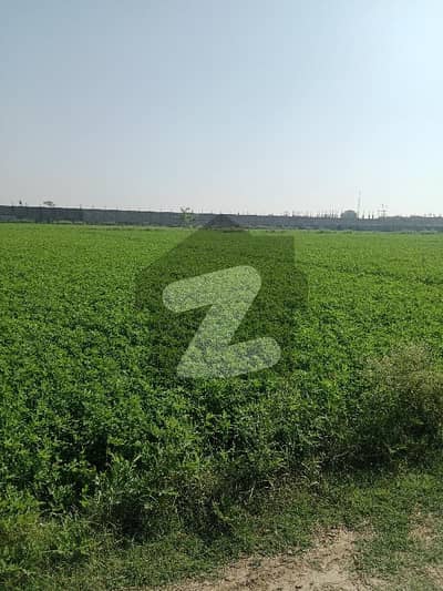 Canal Bank Road Plot For Sale 130 Kanal Manga