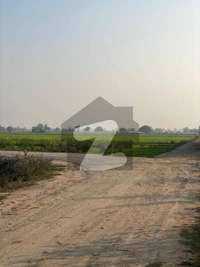 بیدیاں روڈ لاہور میں 16 کنال زرعی زمین 4.25 کروڑ میں برائے فروخت۔