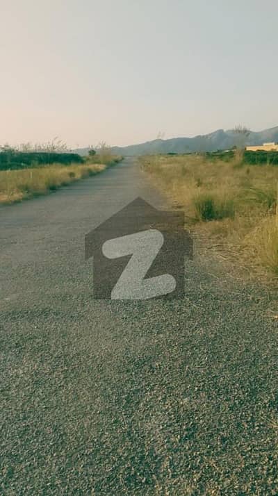 1 KANAL Residential Plot in C-15