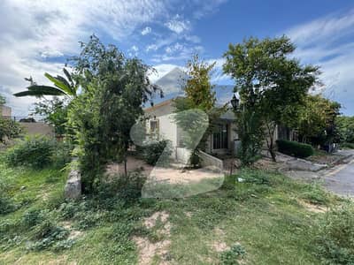 5 Marla Single Story Corner House Available For Rent Bahria Town Phase 8 Safari Home Rawalpindi