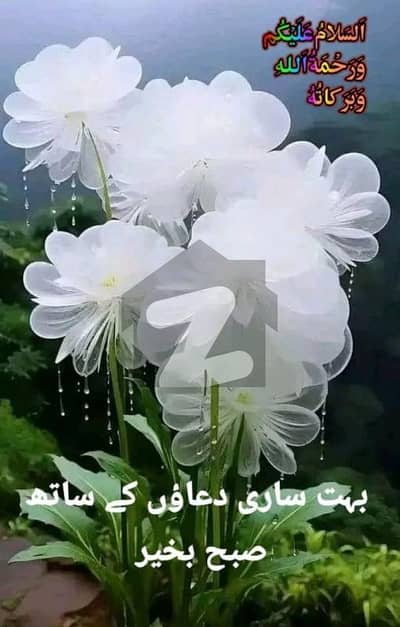 بحریہ ٹاؤن - اوورسیزبی بحریہ ٹاؤن اوورسیز انکلیو,بحریہ ٹاؤن,لاہور میں 10 مرلہ رہائشی پلاٹ 1.55 کروڑ میں برائے فروخت۔