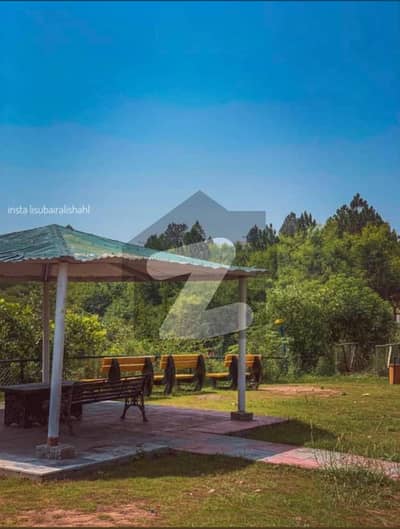 14 Marla plot for sale available invster price