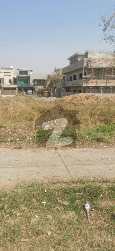 316 square yard plot for salr