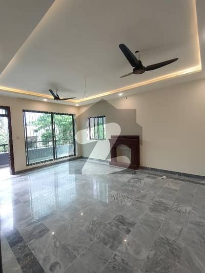 F 11 Mind Blowing Location What A Outstanding Fully Renovated Upper Portion For Rent