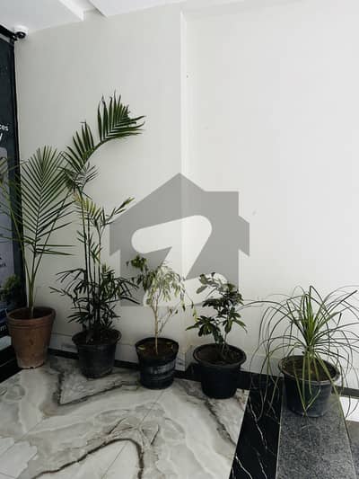 Spacious 2 Bed Apartment With Margallah viewFlat For Rent