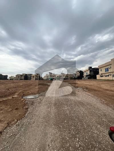 Open Transfer Back Park and Solid Land