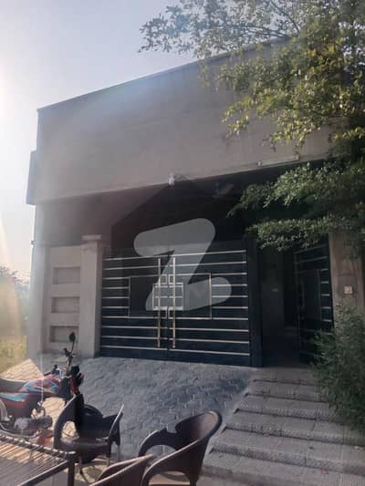 5 Marla house available for rent