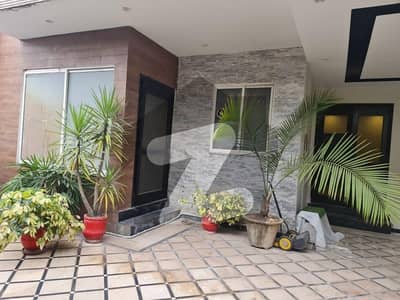 2 Bed Ground Portion For Rent On 12 Marla