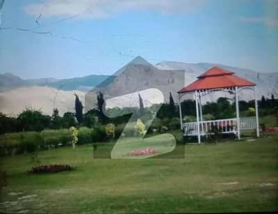 ریگی ماڈل ٹاؤن فیز 1 ریگی ماڈل ٹاؤن,پشاور میں 1 کنال رہائشی پلاٹ 1.98 کروڑ میں برائے فروخت۔