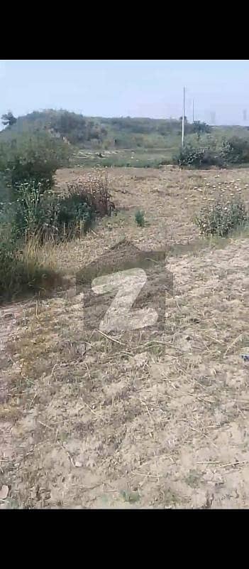 hot deal 25x50 plot available for sale in i-15/2