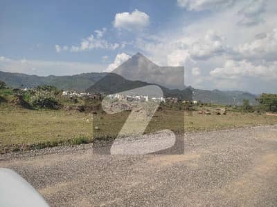 PLOT FOR SALE IN C 16 /3