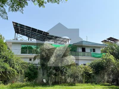 F-10 Triple Storey Bungalow Back Open Huge Lawn