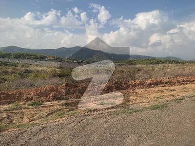 PLOT FOR SALE IN C 15