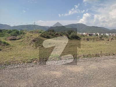 C 15 PLOT FOR SALE SIZE 50*90