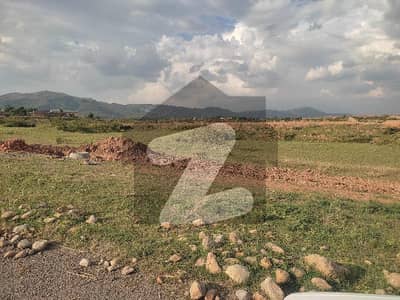 PLOT FOR SALE OIN C 15