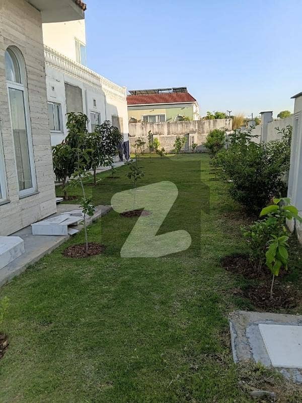 20 