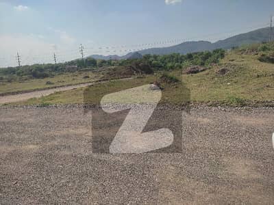 CORNOR PLOT FOR SALE IN D 12/2