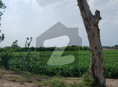 ابوظہبی روڈ رحیم یار خان میں 30 کنال زرعی زمین 11.25 کروڑ میں برائے فروخت۔