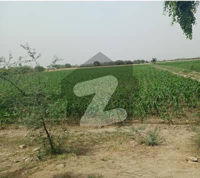 Agricultural Land For Sale