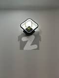 20 