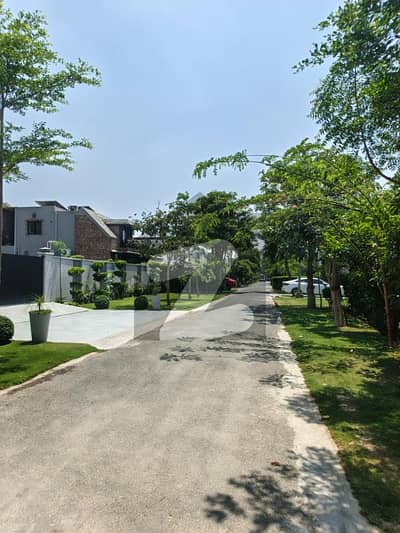 18 Marla Residential Plot For Sale in HBFC